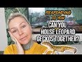 Housing Leopard Geckos Together?? Responding To YOU