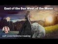 EAST OF THE SUN & WEST OF THE MOON - A Sleepy Fairytale Bedtime Story for Deep Sleep (repeated 2x)