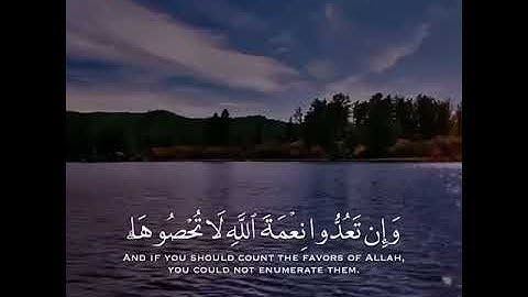 سورة النحل (آية 18)