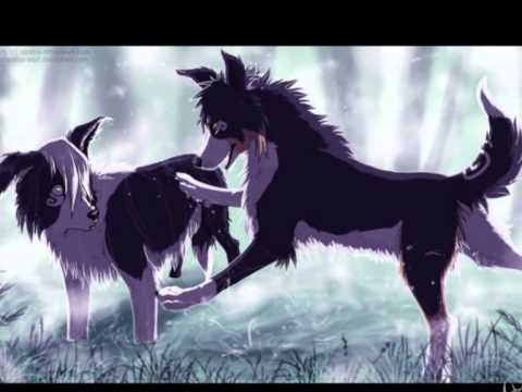 500 Wolves ideas  anime wolf wolf art fantasy wolf