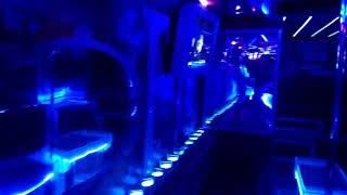 Party Bus  - автобус в Ярославле для корпоративных мероприятий