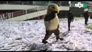 Highlight Friendly Match 