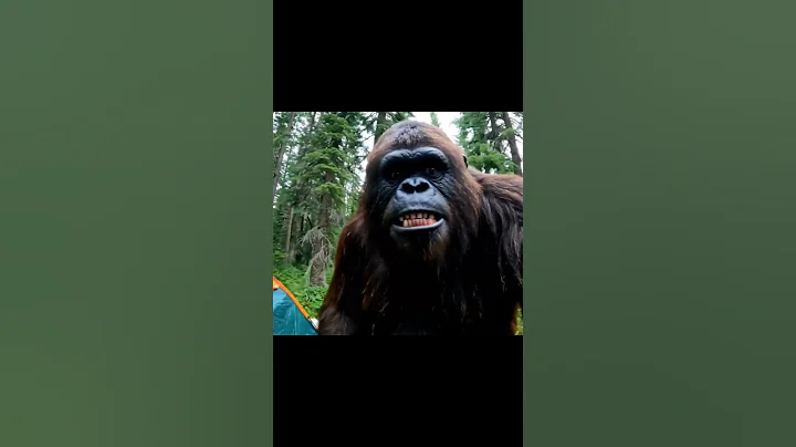 Bigfoot vlogs vlogging with yeti #bigfoot #yeti #ai #wildlife #camp #aivideo #forest
