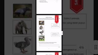 1 SET KERTAS UJIAN AKHIR SESI AKADEMIK (UASA) SAINS TAHUN 6 (DWIBAHASA DLP)