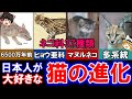 【ゆっくり解説】オレたちが大好き「猫」の進化とは？