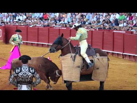 ვიდეო: Bullfighting: ისტორია და ტრადიციები