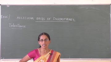 II PU Biology 