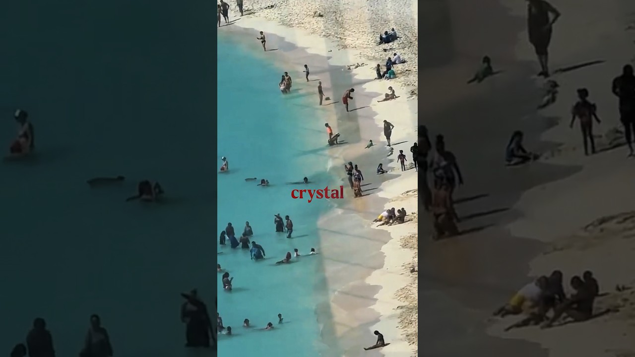 Seeing Ocean Cay MSC Marine Reserve for this first time just hits different 🤩