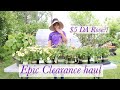 PLANT HAUL| CLEARANCE PLANT | GARDENADDICTZ