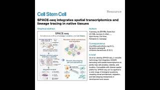 1380-SPACE-seq：整合空间转录组与谱系追踪技术