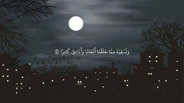 تلاوة خاشعة من سُورة الفرقان للقارئ  |💔؟ حالات واتس اب مقاطع قرأنية قصيره 💛✨