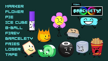 The Entire BFDI Contestant Cast Random Voting Ep. 2