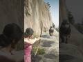 INSANE RDR2 Gameplay EPIC WILD Fox Attack Fight CRAZY Survival Escape Hunt #shorts #gaming