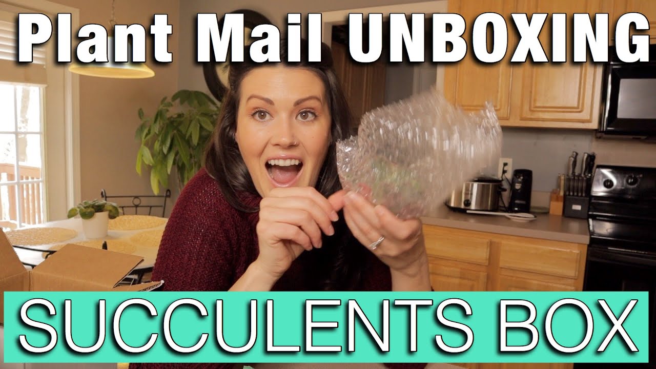 Succulents Box UNBOXING Plant Mail Review Plant Haul and Houseplant