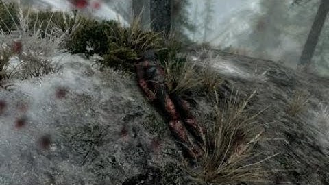 Skyrim: Fugitive appears at the worst time