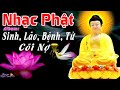 Nhạc Phật - Liên Khúc Nhạc Phật Giáo Hay Nhất 2021 - SINH LÃO BỆNH TỬ, CÕI NỢ,  Bình An, Giảm Stress