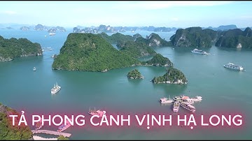 🎥 TẢ PHONG CẢNH VỊNH HẠ LONG|Tả Cảnh Vịnh Hạ Long | Hướng Dẫn viết Bài Văn Tả Cảnh Lớp 5
