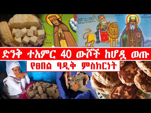 ቪዲዮ: ውሾች ውስጥ መቅሰፍት