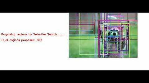 Racoon Detection with MobileNetV2 and  selective search proposals