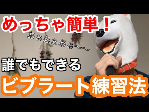【カラオケ】ビブラートとは？誰でもできる実際の練習方法について！