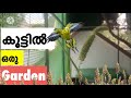 Building a Garden Inside Aviary | Budgies Aviary | Rooftop Gardening