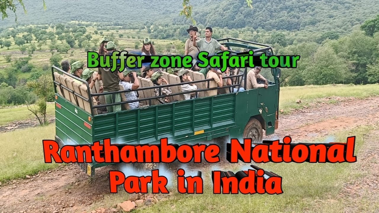 Ranthambore National Park | Safari tour in Buffer zone | The Cruise Jungle |