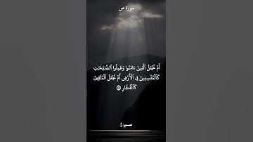 سورة ص للقارئ الشيخ بدر التركي