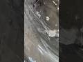Beko fast spin
