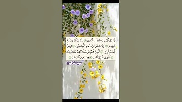 سورة الماعون💫 بصوت جميل جدا ♥️🔋 #اكسبلور #تيك_توك #الرحمن #love #القزابري #ترند_تيك_توك