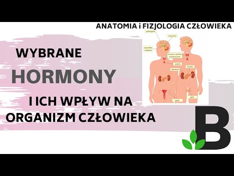 Wideo: Który hormon(y) dominują w stanie wchłaniania?