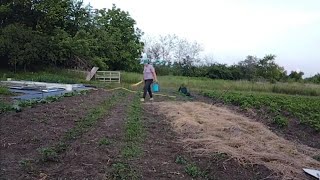 Жизнь на хуторе/Возили Раду в клинику/с веником по огороду