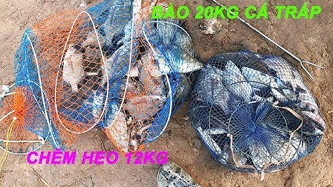 #15 Chuyến đi Bình Đại đầu năm đầy kỉ niệm [Barramundi and Bream fishing, 2 days at Ben Tre]