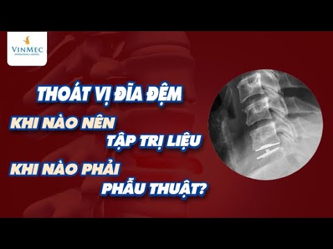 Video: Rễ vân sam xanh đi sâu đến mức nào?