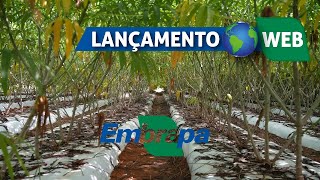 Lançamento Web - Cobertura plástica do solo no cultivo de mandioca de mesa no Cerrado