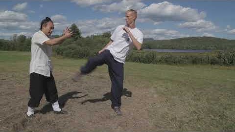 Xing Yi Quan Horse application