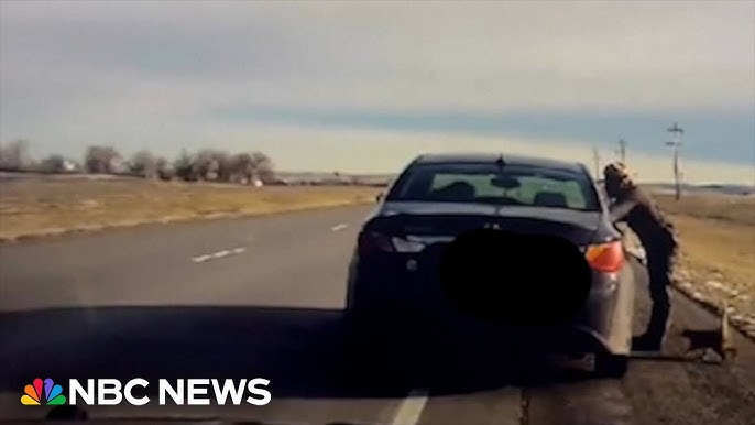 State Trooper Makes Purr Fect Traffic Stop In South Dakota