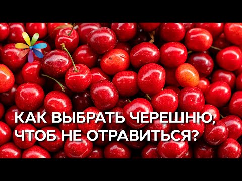 Как правильно выбрать черешню? – Все буде добре