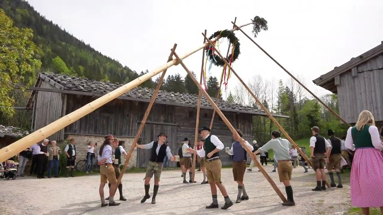 Traditionelles Maibaumaufstellen im Markus Wasmeier Freilichtmuseum