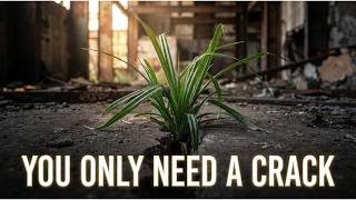 They Called It a Weed… Until You Hear This