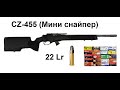 CZ 455 22lr (Мини снайпер). Стрельба разными патронами.