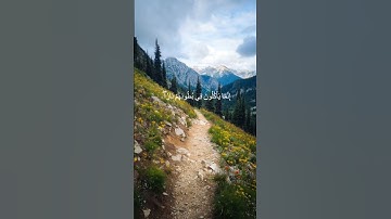 دقيقة من القرآن الكريم بصوت الشيخ ماهر المعيقلي سورة النساء #قرآن #religion #قرآن_كريم #قران