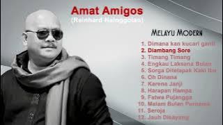 Amat Amigos - Melayu Modern