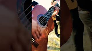 Video thumbnail of "Rumba Flamenco Gipsy Guitar Song Compas #guitar #flamenco #shorts"