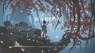 MARION - Faces | ChillStep by MARION music 19,910 views 1 year ago 3 minutes, 51 seconds