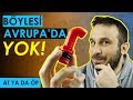 BUNU DA CEBE SOKMUŞLAR | AT YA DA ÖP