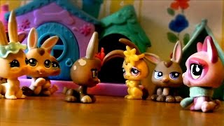 Celebrity LPS: Nightmares In Bunnyland - Part 1/2 [Easter Special] Net Worth
