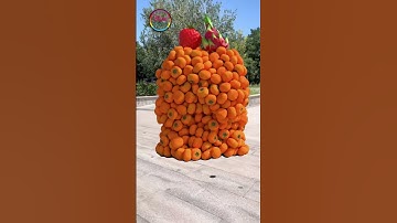 Create humanoid fruit and vegetable characters that can walk, collide and fall down...