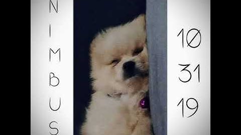 NIMBUS | End of October (Demo)