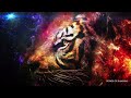 Spirit animal wisdom  tiger  align your energy with this powerful archetype
