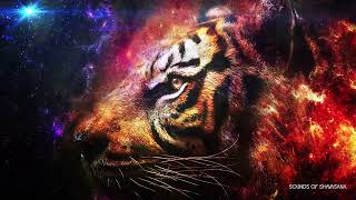 SPIRIT ANIMAL WISDOM • TIGER • ALIGN YOUR ENERGY WITH THIS POWERFUL ARCHETYPE screenshot 4